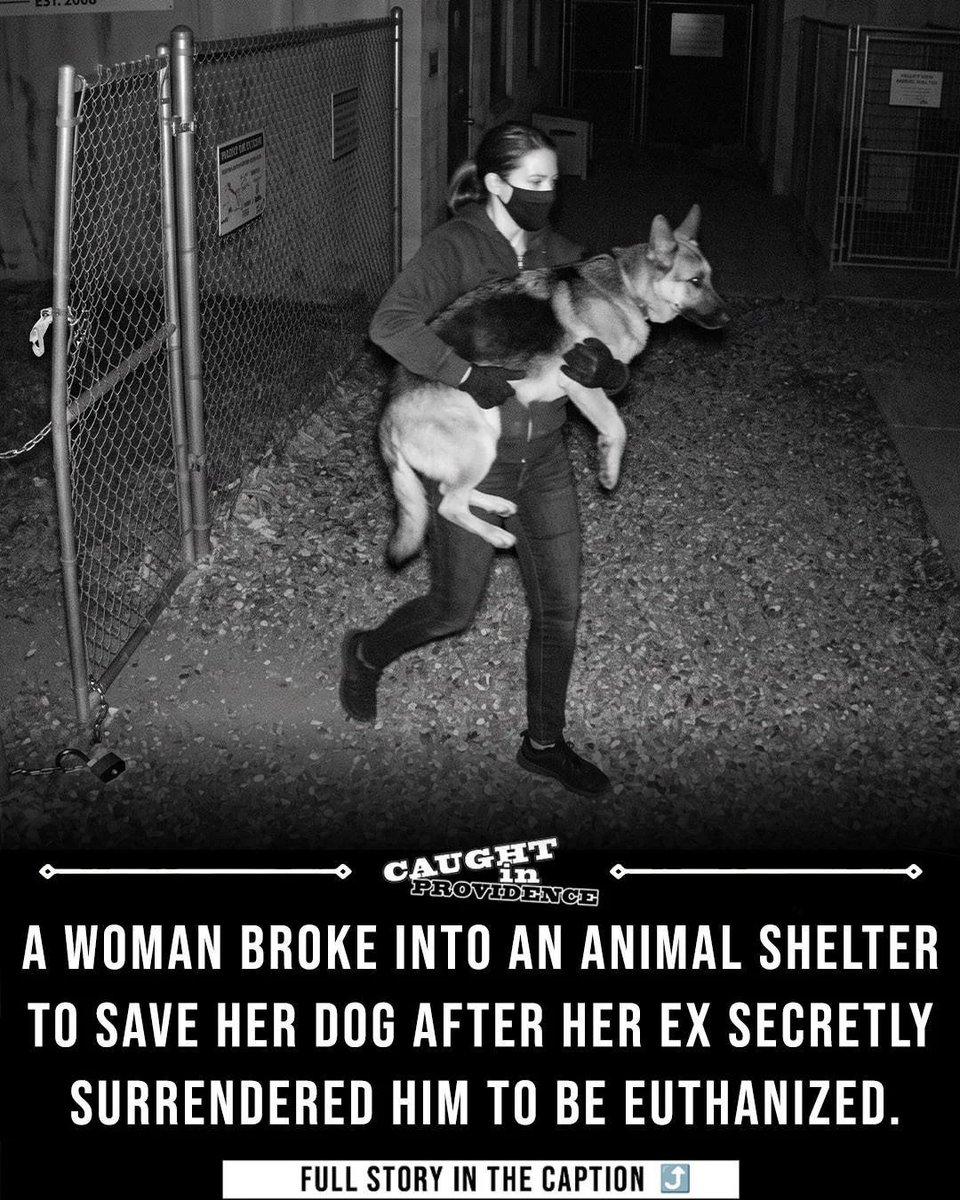 zeusrz's tweet photo. THIS IS GENNY A GIRL BROKE INTO A SHELTER AFTER HOURS TO GET HER DOG BACK THAT WAS ABOUT TO BE EUTHANIZED

21K UPVOTES IN 1 DAY?? AND SUPER TRENDING ON FACEBOOK?? 

Paying the dex at 15k

LOOK BELOW⤵️📷
https://t.co/hTOtHnrqUO
https://t.co/5CgDwX3FXd

 I EVEN DID SOME RESEARCH AND FOUND THE NAME OF THE DOG AND ITS "MAX"
https://t.co/x8F0qmf1fn

HER EX LITERALLY PUT THE DOG IN SHELTER AFTER THEY BROKE UP AND SHE LITERALLY SAVED HIM. SHES A SAVIOR!!   
COMMENTS GOING CRAZY LOOK URSELF!!