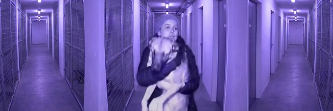 zeusrz's tweet photo. THIS IS GENNY A GIRL BROKE INTO A SHELTER AFTER HOURS TO GET HER DOG BACK THAT WAS ABOUT TO BE EUTHANIZED

21K UPVOTES IN 1 DAY?? AND SUPER TRENDING ON FACEBOOK?? 

Paying the dex at 15k

LOOK BELOW⤵️📷
https://t.co/hTOtHnrqUO
https://t.co/5CgDwX3FXd

 I EVEN DID SOME RESEARCH AND FOUND THE NAME OF THE DOG AND ITS "MAX"
https://t.co/x8F0qmf1fn

HER EX LITERALLY PUT THE DOG IN SHELTER AFTER THEY BROKE UP AND SHE LITERALLY SAVED HIM. SHES A SAVIOR!!   
COMMENTS GOING CRAZY LOOK URSELF!!