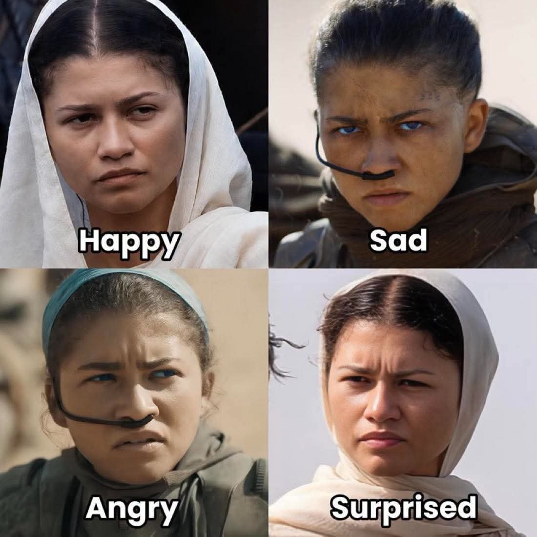 TrashMemeVault's tweet photo. @InsaneFrog You're just jealous of her acting abilities https://t.co/Zhq2bVOCIC