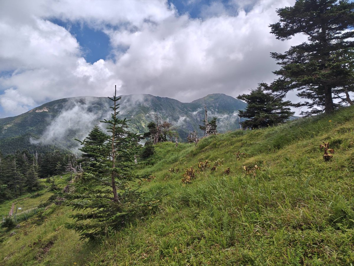 kland887's tweet photo. 登山ツアーは聖岳・光岳の催行中 https://t.co/kbAodea3Pu
