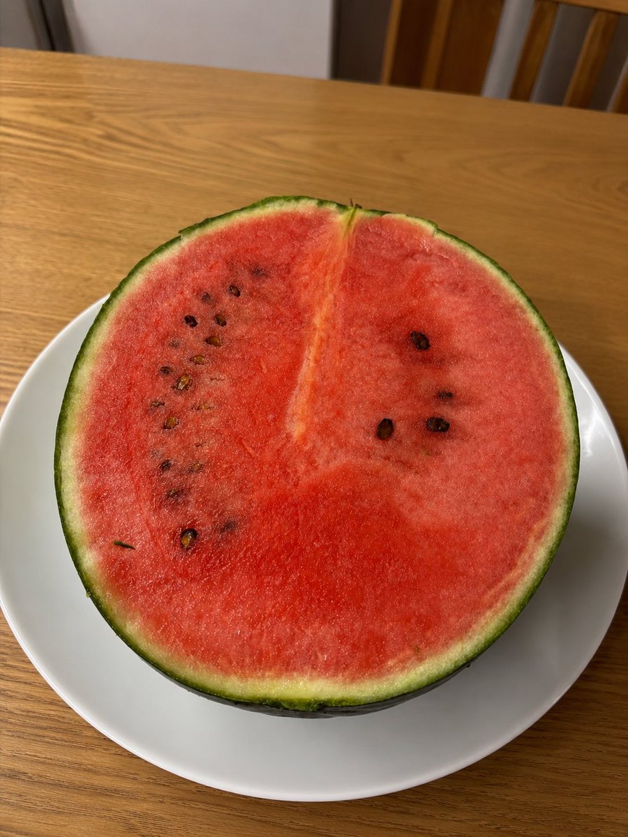 eombalance6's tweet photo. 아빠가 키운 애플수박 보고가세요 🍉🙈 https://t.co/L3P8Y7D8BU