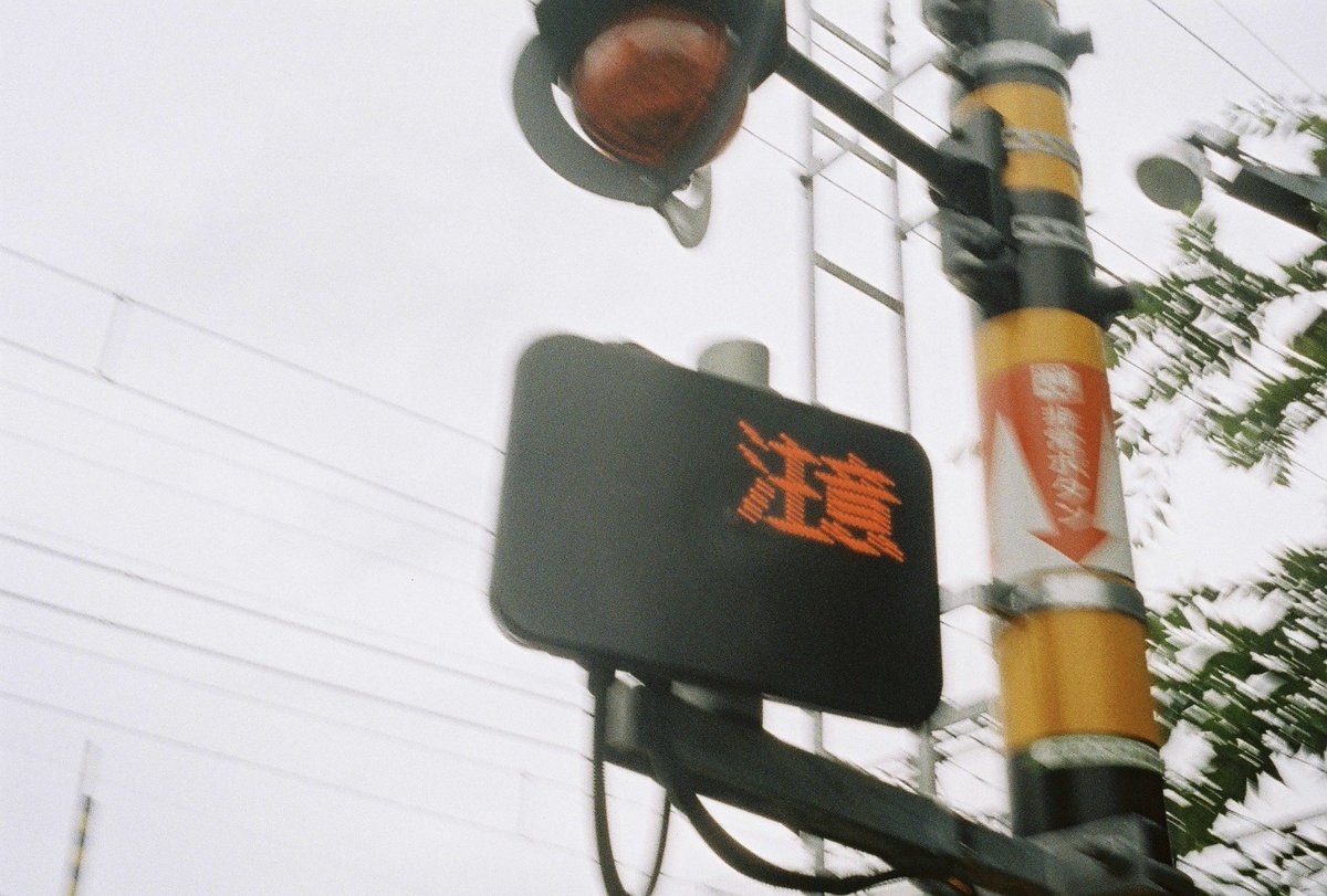 risutannn's tweet photo. やはりわたしは写真が好きなのでやめられません。

撮るのも写るのも、写真そのものが好きだからです。

光と影と色で出来あがってる絵が、好きです。 https://t.co/qikwfvkMik