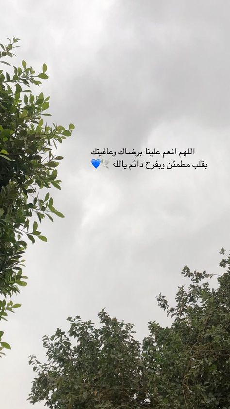 saltanobaid's tweet photo. https://t.co/ZHuZLYUvKy