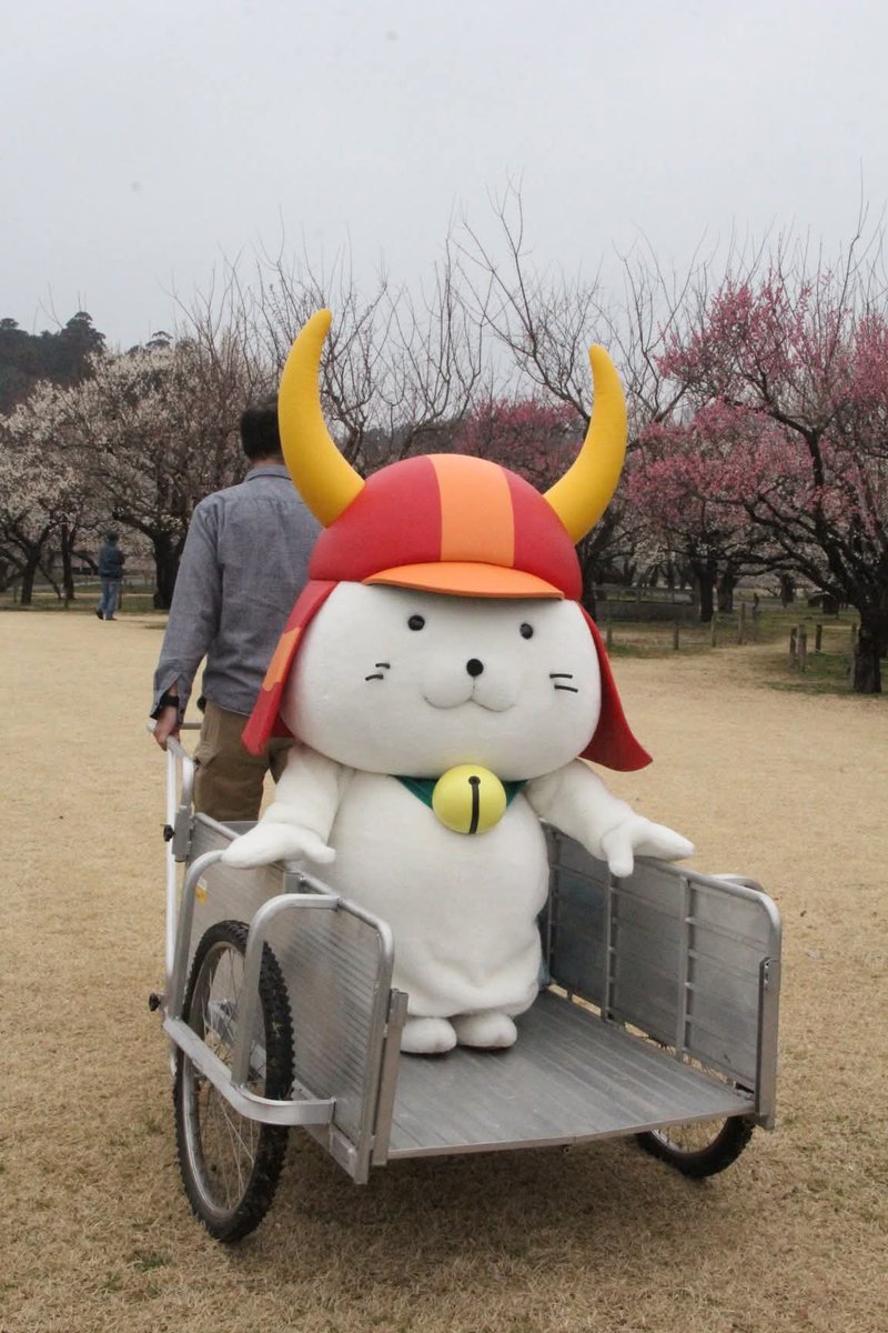 Mira_Nakano's tweet photo. しっかりつかまるひこにゃん。 https://t.co/ZeElOOLm9E