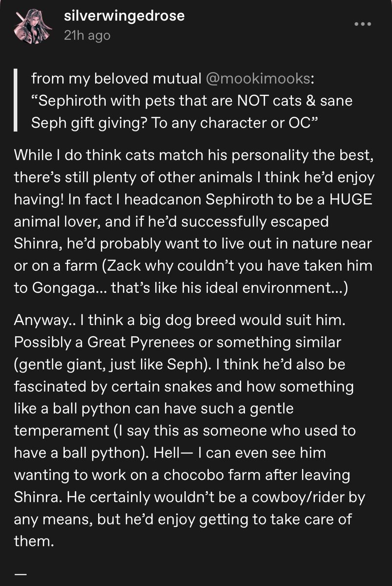 silvrwingedrose's tweet photo. oh yeah here’s more Seph headcanons 🙂‍↕️ I’ll be posting more later tonight https://t.co/WVDuRaO8ET