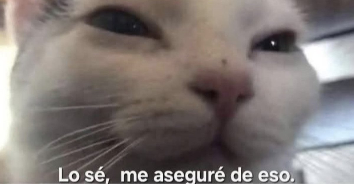 Guarromantico_'s tweet photo. “Ya casi no te vemos...”

Yo: https://t.co/0xEOTztjbt