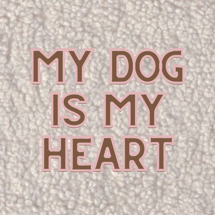 Sabrinapaw1's tweet photo. Zoo model who gives her dogs pleasure 

TG
https://t.co/7HTiRZlF85

#dogknotting #knotty #doglover #dogwhore 
#knotted #animallovers #hypnotist #nfsw #dogtrainer
#Beastiality #weekendvibe #tits #Beast #zoophillia
#dogpill #KnottedRP #Taboo #Breeder #SloppyKiss #nsfwtwt #trending https://t.co/dFv5Mi4q17