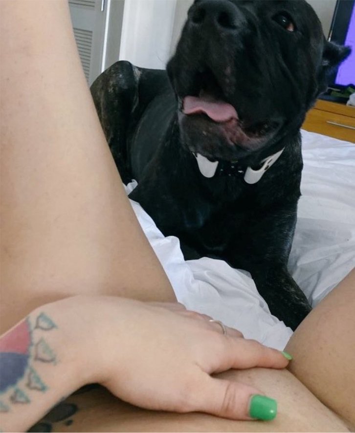 BhiqDicee's tweet photo. Those leaks are tempting 🥵🐾🐶Subcribe for a Live video streaming on TG 
⬇️⬇️
https://t.co/8WrYjuNj6o 
#lewdrp #nsfwrp #sexrp #smutrp #openrp #taboorp #hentai #blacked #nsfw #taboo #milf #nsfwtwt #beastialityrp https://t.co/9J6hkB1Rka