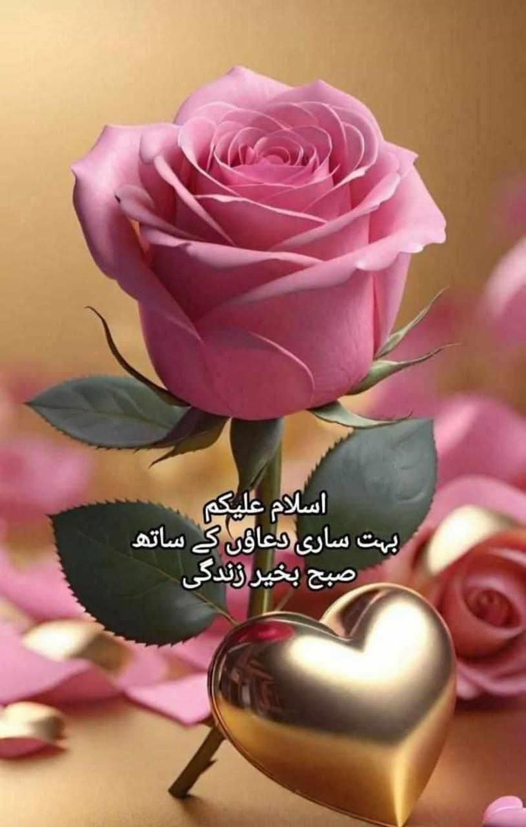 HashmiAnees1's tweet photo. https://t.co/otg030wkSN