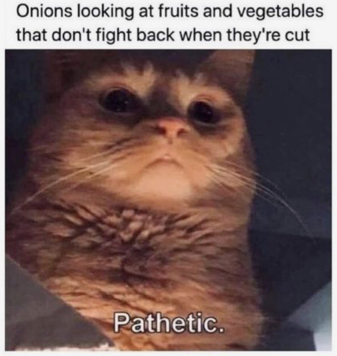 cattribunal's tweet photo. https://t.co/V2io9iCOsC