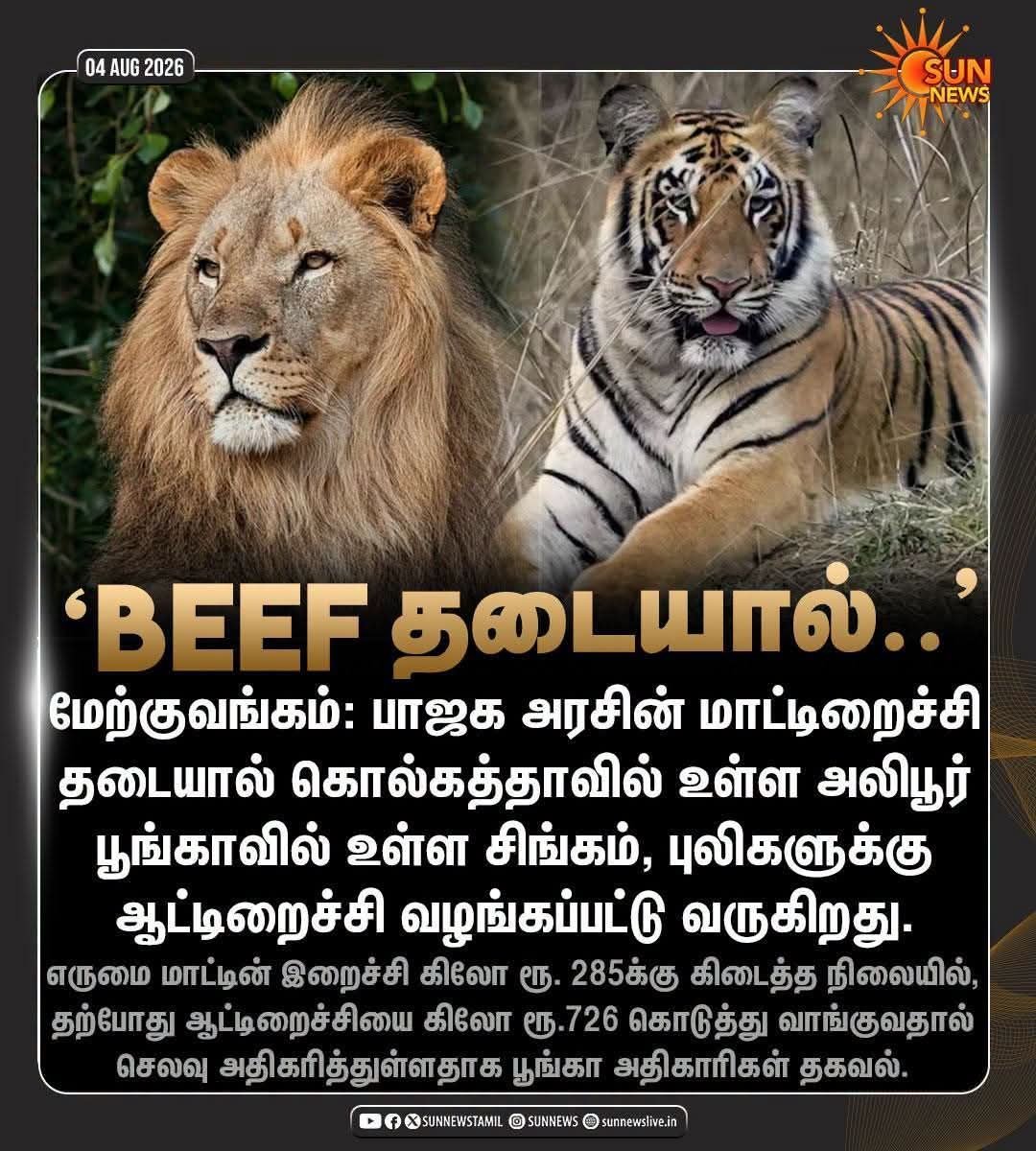 selvachidambara's tweet photo. படிப்படியாக சைவத்திற்குப் பழக்கி விட வேண்டும்.

தயிர் சோறும் மாங்காய் ஊறுகாயும் மதிய வேளையில் வெய்யிலுக்கு இதமாக இருக்கும். 🤣 https://t.co/hJid2En8Um