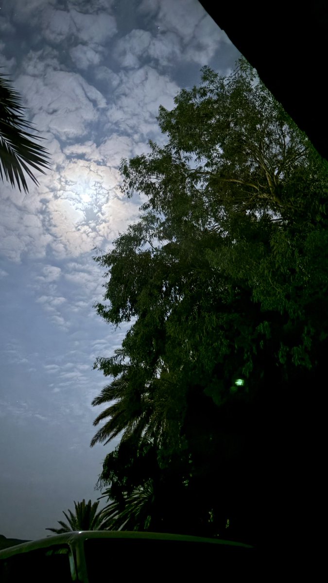 samer20101952's tweet photo. #همسه_قبل_الغفوه https://t.co/ehVNX2ccUs