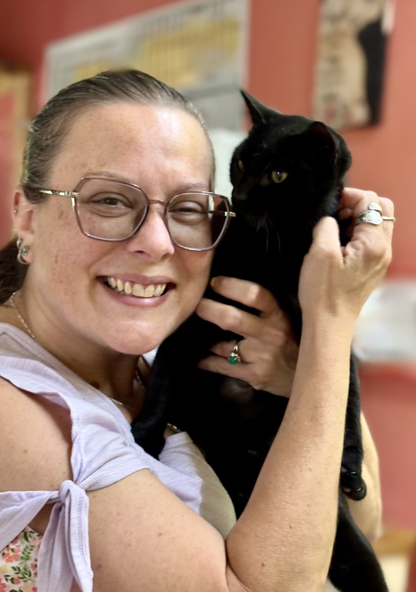 RappCatsAdopt's tweet photo. 🥳✨💖Sweets was adopted this evening! Mom already texted and said she's exploring confidently and loving her cat tree! Congratulations to Sweets &amp; her new Mom❤️It was one of those adoptions that felt oh-so-right! https://t.co/IkSnPzBC21