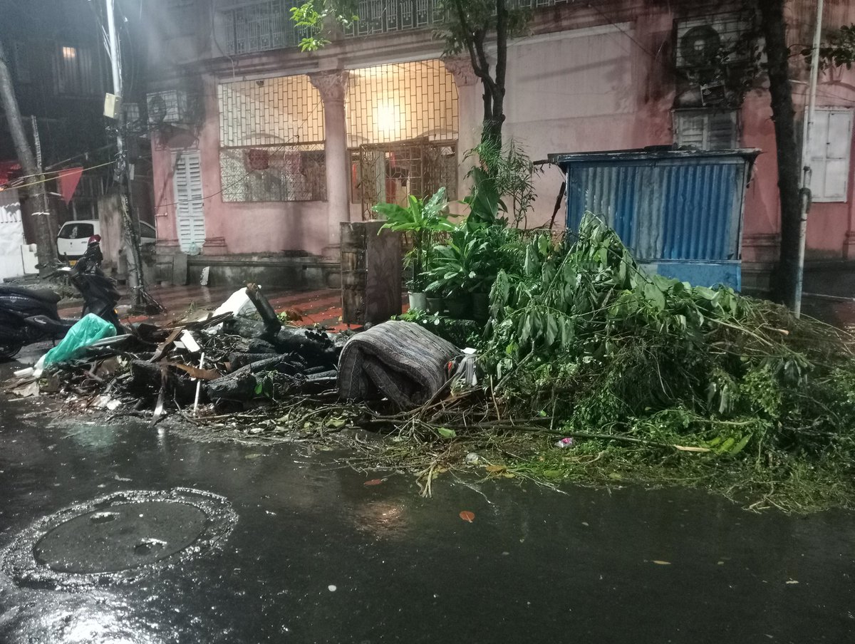 ankitlathia's tweet photo. Mam, this dump of tree branches has been trimmed on 30/07/2026 but still 04/08/2026 the waste is not picked now people are putting their waste within it kindly look into to it. It's Ashu Biswas Road and Bakul Bagan Road Crossing https://t.co/DXXyMkWIl0