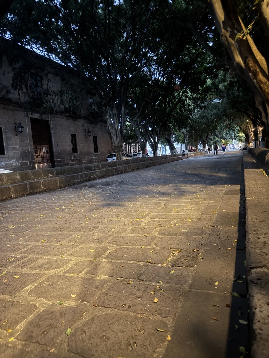 Isaac_D000's tweet photo. Alguien por aqui?
#Morelia #swmorelia https://t.co/kVq1b8abdj