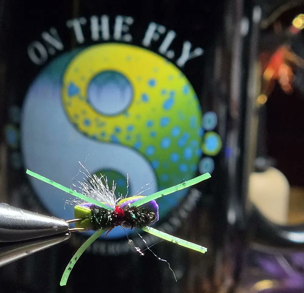 Saltwateronfly's tweet photo. Some flies you tie because they look good in the box. This one you tie because it flat out gets eaten.

The I Wonder Terrestrial is our go-to attractor pattern for late summer and fall creek fishing — a buggy, do-it-all profile that reads as beetle, ant, small hopper, or stonefly depending on the water and the mood of the fish. Tied on a Daichi 1720, size 14, we only use about 5/8 of the hook shank for the body, keeping a tight, natural profile while leaving more hook hanging below the surface film. That's not an accident — it's why we're seeing better hookup ratios with this fly than with traditional terrestrial patterns.

The build:

Body: 5 strands of peacock herl, twisted and wrapped for that natural buggy shimmer
Shellback: Double-sided foam — chartreuse/purple on top, brown closed-cell foam with gold glitter underneath on the river side, folded forward and tied off 1/3 back from the eye
Legs: Silicone, for that twitch-in-the-water movement fish can't ignore
Wing: Poly, for visibility on those long drifts
Thread: Semperfli 6/0 Classic

This fly has been putting fish in the net on the small creeks around home, but it's really proven itself on bigger water too — it's been killer on the Madison River (five mile bridge down) and the Middle Fork of the Salmon in Idaho. If you're chasing trout on freestone water anywhere in the Rockies this terrestrial season, this one belongs in your box.

Tie it up, fish it hard, and happy hunting.

👉 Grab yours (or the tying materials) at https://t.co/rxxHCMcGOa