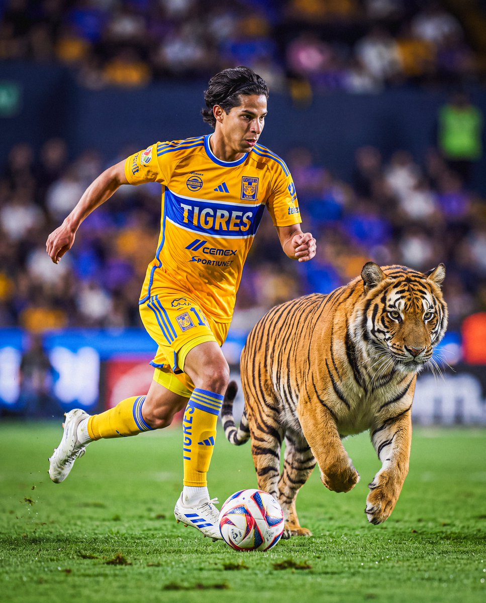 pedrx_tigres's tweet photo. Hoy ganan los Tigres de la U🐯 https://t.co/cBzKuD2SrX