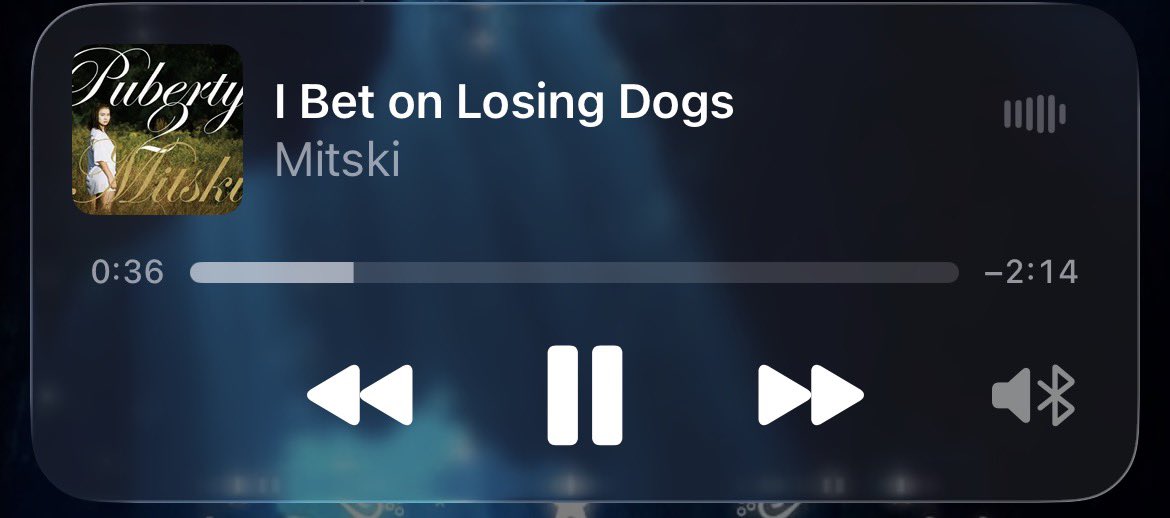 GWENSYDFANI's tweet photo. yeah i feel like a dog rn the way im losing my mind https://t.co/yMykUlKCvV