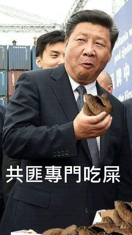 solar2888's tweet photo. @ffaa1683174 @yunge1245 @greentea3385 我好奇問問沒台商賞飯吃，請問要談什麼？吃共產党大便嗎？🤣🤣 https://t.co/1hv6DiY81H
