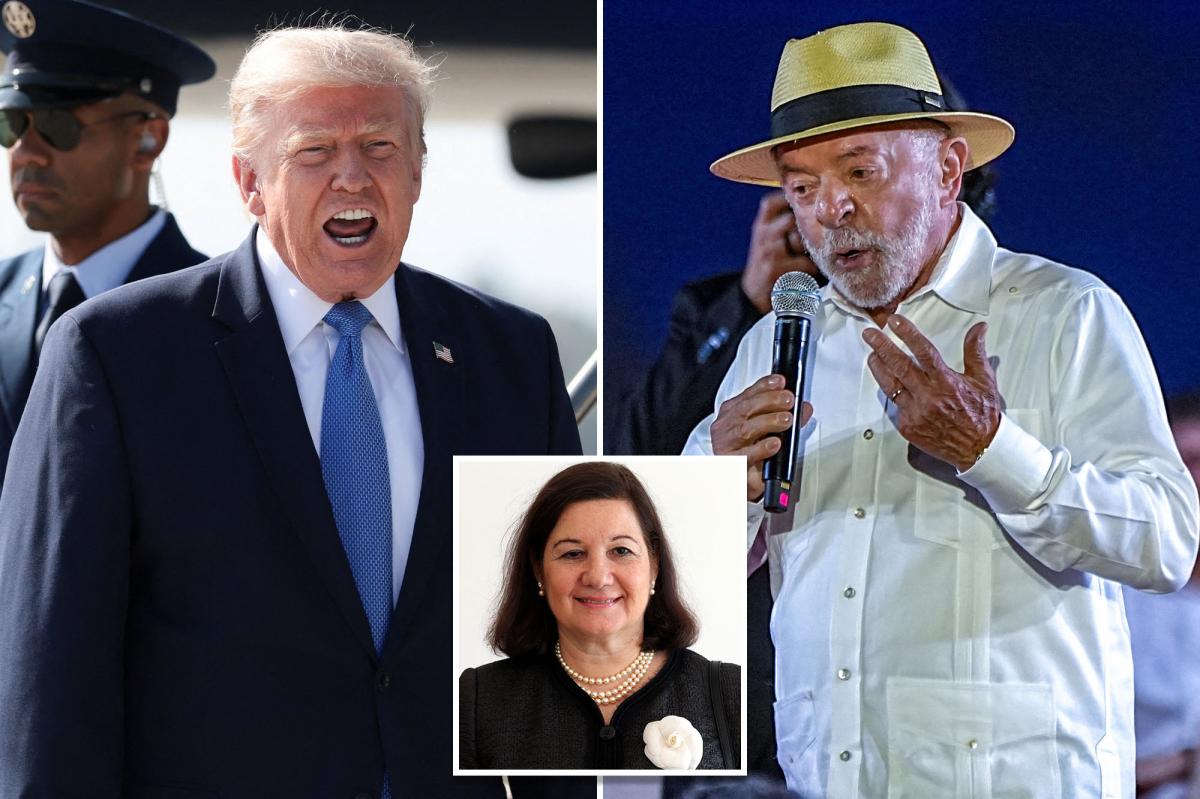 nypost's tweet photo. Trump admin revokes visa of Brazil's ambassador to US as payback https://t.co/gO23heXn0C https://t.co/9LHH38Ulo0