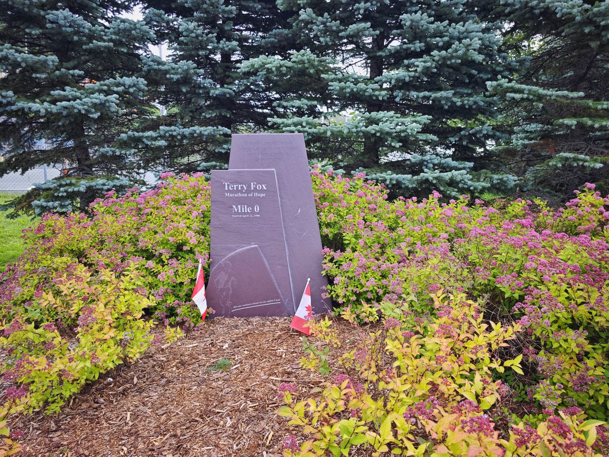dereklee0329's tweet photo. #Newfoundland Day 11 St. John's城市游 - Toronto
​今天走一走彩色房子，Terry Fox 0公里纪念公园，信号山，啤酒厂。看到了Newfoundland dog，3岁，好大只，毛发巨浓密。吃了龙虾卷。还车，小学同学送我去机场。
​转机蒙特利尔回多伦多，现在飞多伦多的飞机有点儿delay。
​愉快的旅行结束了。😊 https://t.co/QExlPYZklr