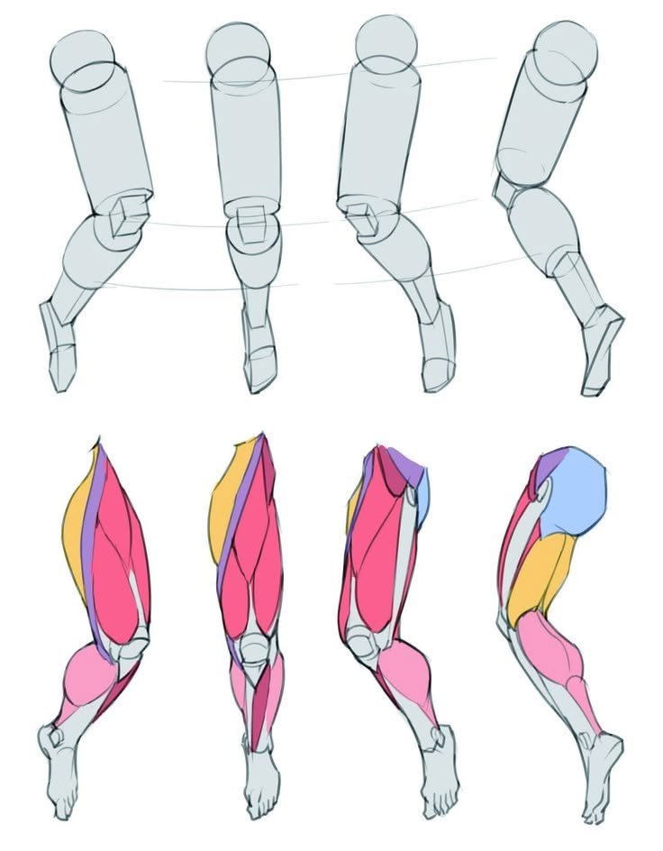 ezdrawps's tweet photo. Leg anatomy gets easier when you stop seeing it as one shape https://t.co/KYh9errjyk