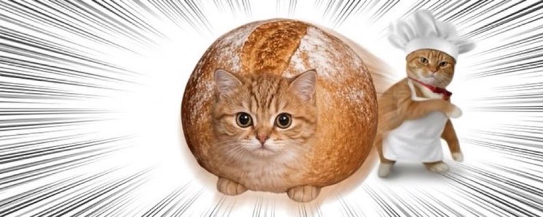 breadcatonsol's tweet photo. Where my breadcats at? https://t.co/zII3eN6SPq