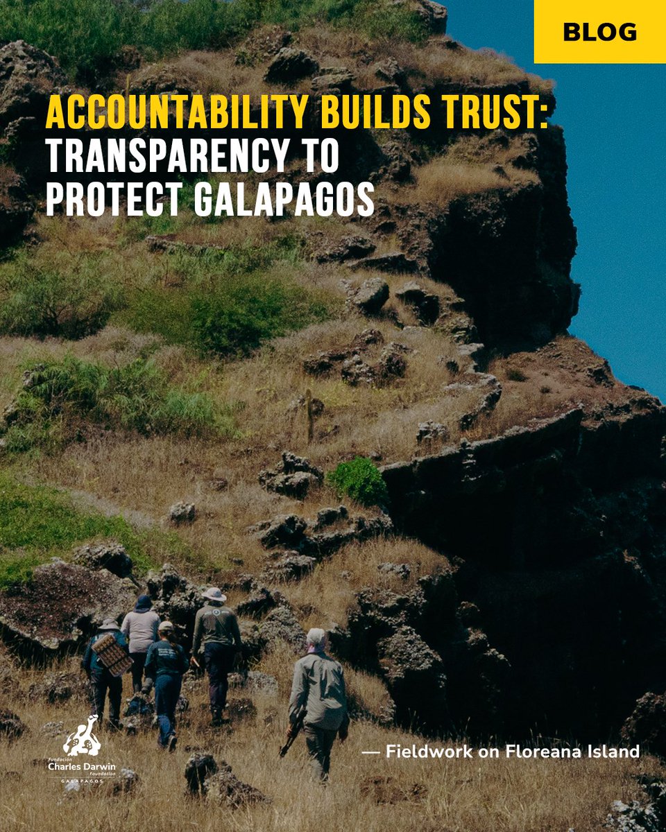DarwinFound's tweet photo. #Blog | Transparency strengthens conservation. 🌿🔬 Our 2025 Accountability Event highlighted how science supports conservation and local communities. 🌊📖 Read our blog here: https://t.co/Iir744LeO6
#Galapagos #Transparency https://t.co/IjT4euLwE9