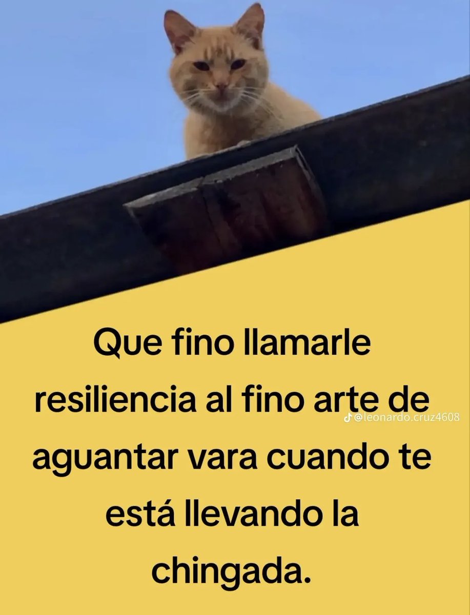 DisgraceK's tweet photo. Oh sí. https://t.co/b1U0U2no43