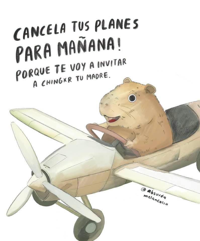 Eljefechipotle's tweet photo. @RicardoBSalinas Que onda perrita de Trump https://t.co/tvGV6ZBXln