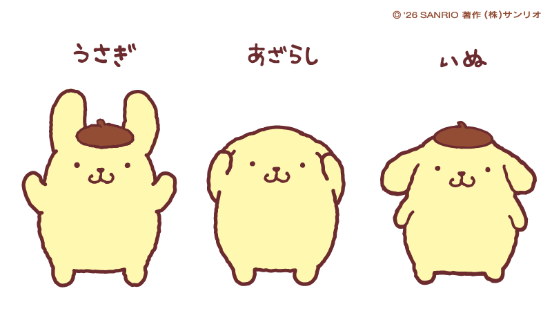 purin_sanrio's tweet photo. うさぎ派？あざらし派？いぬ派？ https://t.co/DtLKrBRtaf