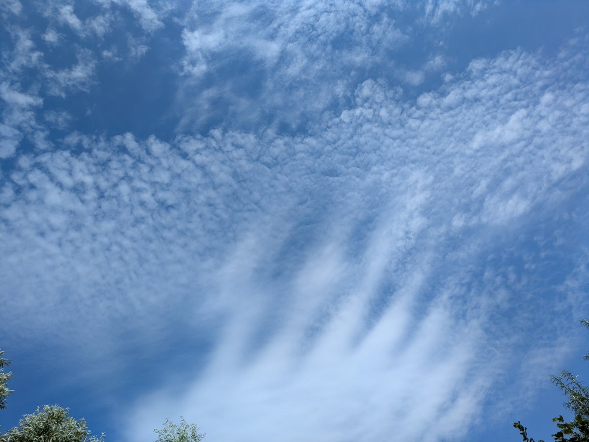 hjwdewit's tweet photo. wolken spatten
inktvlekken in de lucht
ongeschreven regel
#haiku #wolken #inkt #inktspatten #wolkenhemel
https://t.co/8mmmCotXOF https://t.co/d0PzKKKcwV
