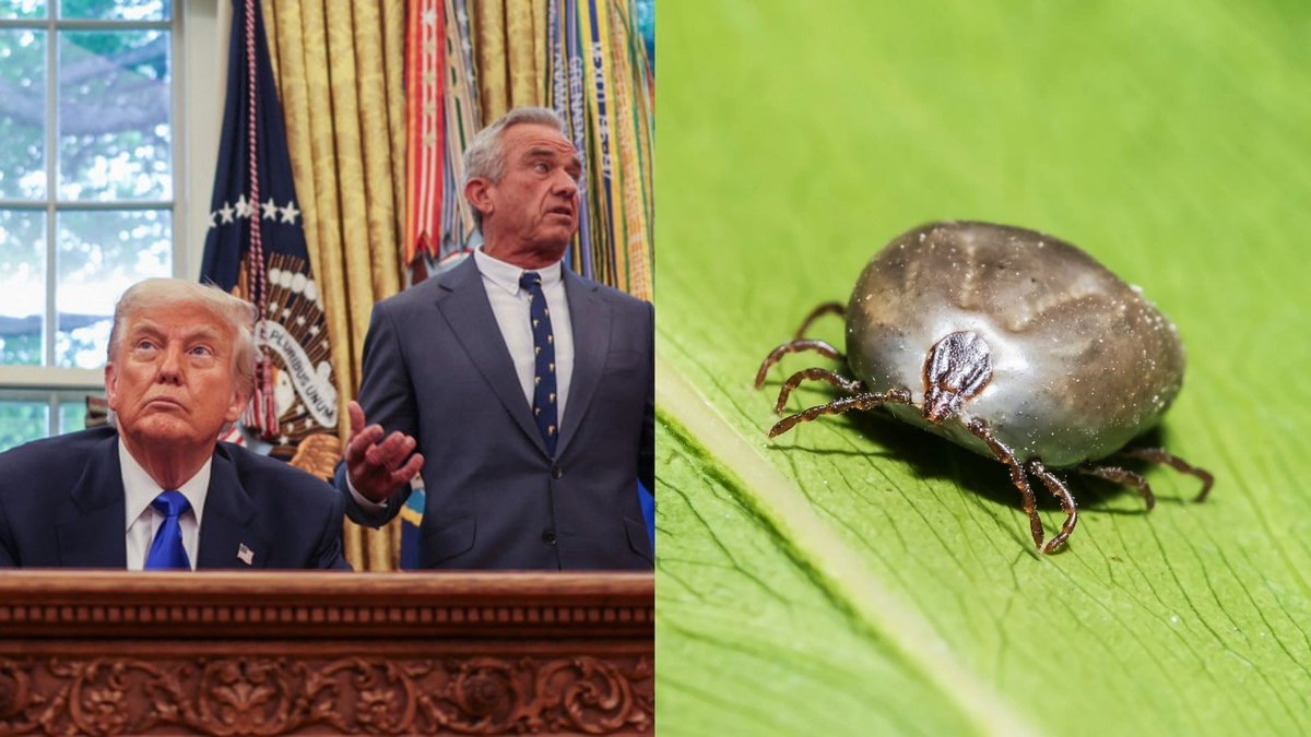 HQNewsNow's tweet photo. 3 people have been confirmed positive for tularemia, or rabbit fever, a rare tick-borne illness with symptoms worse than Lyme disease.

This comes after the Trump administration made significant funding cuts to the Centers for Disease Control. https://t.co/KEnDU4P4rm
