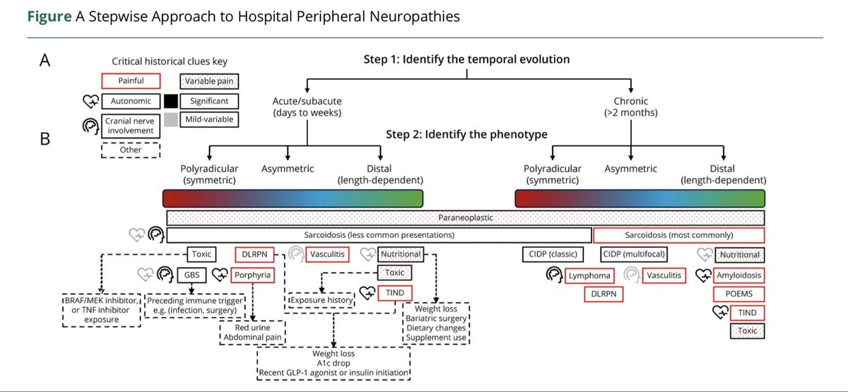 MarcusVPinto's tweet photo. One of my missions is to make Peripheral Neuropathies more understandable for non-experts. Recognizing that physicians often find PNs challenging, especially in the hospital setting, I collaborated with @MayoClinicNeuro Neuromuscular hospitalists, @ReeceHass and @SantilliAshley, and my former NM co-fellow #JMartinezThompson to develop an engaging infographic that simplifies how to approach neuropathies leading to hospitalization. The incredible artistic skills and creativity of @ReeceHass truly brought this project to life, exceeding all expectations. We hope you find this helpful. https://t.co/HjEJbfOkqh
