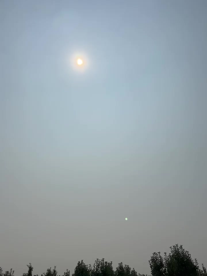 UFWupdates's tweet photo. "Martin" is thinning apples at a non-union work site in Parker WA. Due to wildfire smoke, there is a 175 "unhealthy" AQI. He is earning WA minimum wage. #WeFeedYou https://t.co/5XgIvgpYB4
