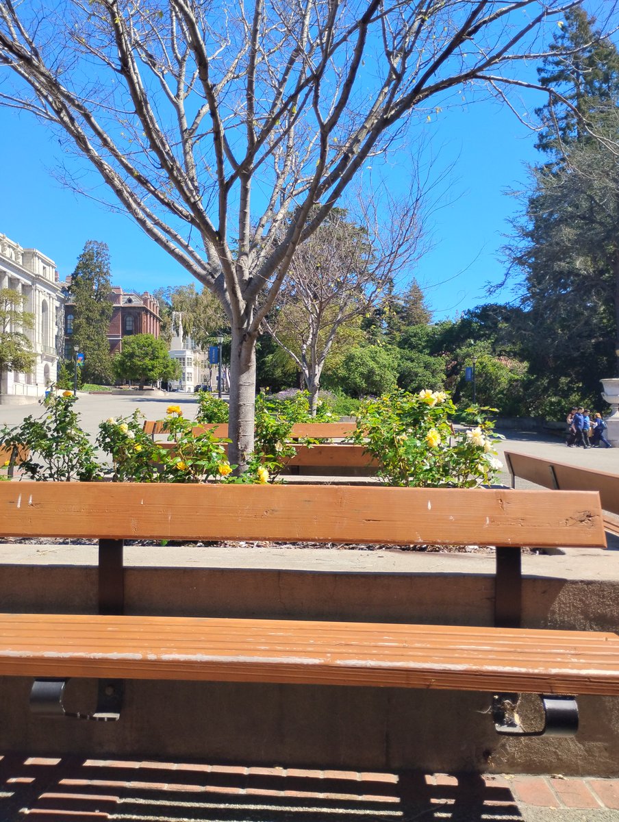 computernonce's tweet photo. @UCBerkeley #tolstoy
#oppenheimer
Mystery Nazi ? https://t.co/1qbZNSviKs