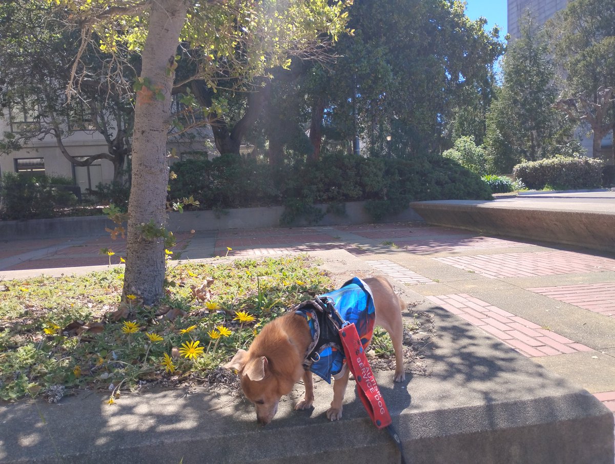 computernonce's tweet photo. @UCBerkeley #tolstoy
#oppenheimer
Mystery Nazi ? https://t.co/1qbZNSviKs