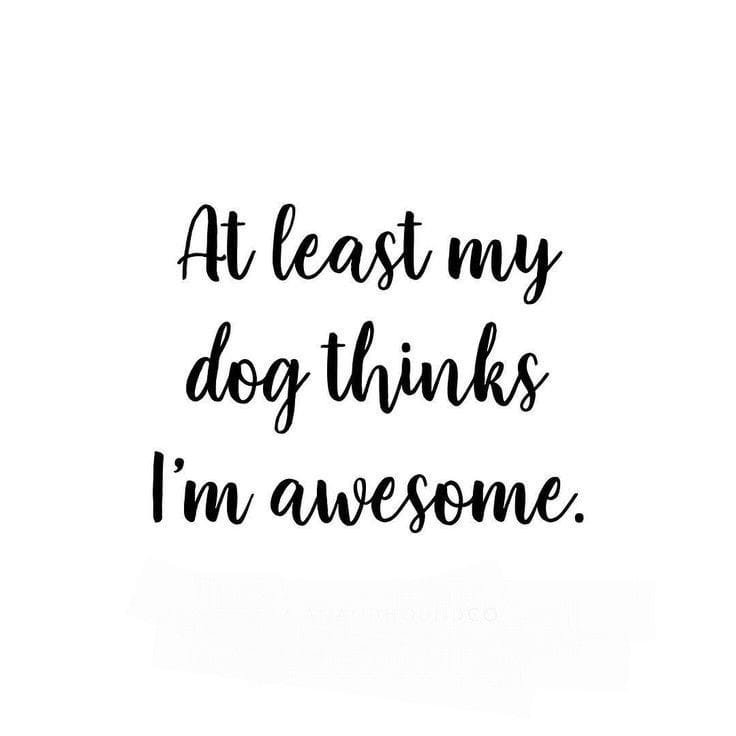 sluttyhound4's tweet photo. Awesome paws🐾🥰
https://t.co/6TnYRWVswZ https://t.co/KHMn8SzZEJ