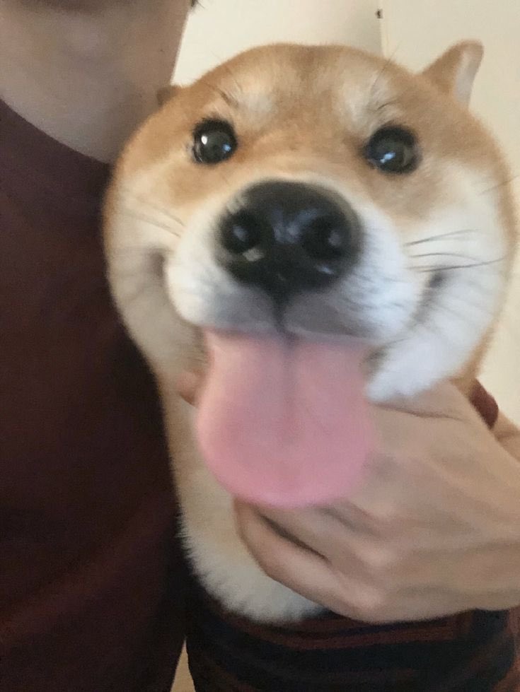 ThatAsianOnline's tweet photo. @vevoln Hey sexy https://t.co/ouLKRiV4qf