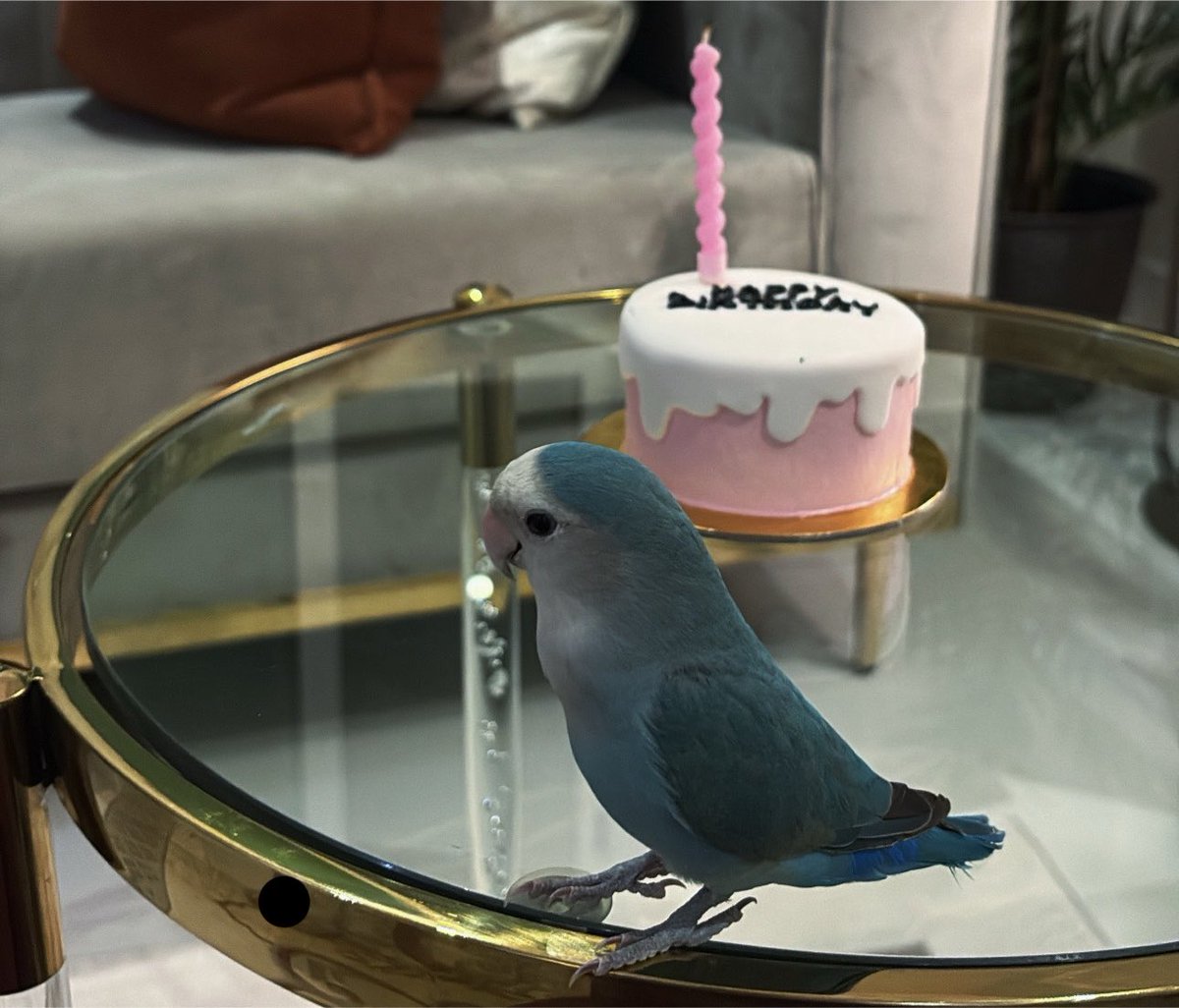 itsGhdo_'s tweet photo. Suddenly we turned 23✨ https://t.co/8jwCDdMTAI