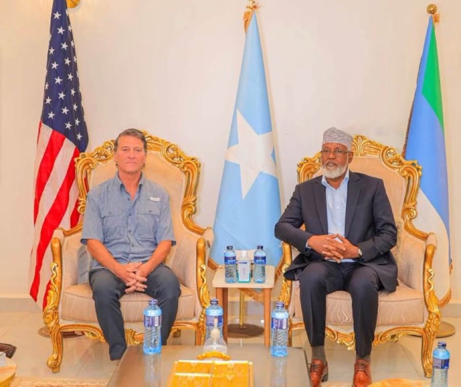 Deee_luul's tweet photo. Just days after posting this, you were in Somalia shaking hands with a former warlord and ex-terrorist.

What exactly were you doing in Somalia? How did you allow yourself to sit side by side with a former terrorist as if you were equals? What a farce. https://t.co/RrO0qcdwBD