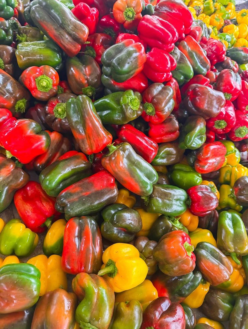 BASHIIR___'s tweet photo. what did you call these in your native language? https://t.co/RPu1NbIrLH