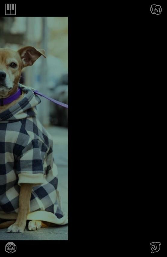 Soccerihito's tweet photo. 🔮The cat sleeps on a chair with soft seat623128Park walk with son Children, playing https://t.co/NVQMoqjM9z