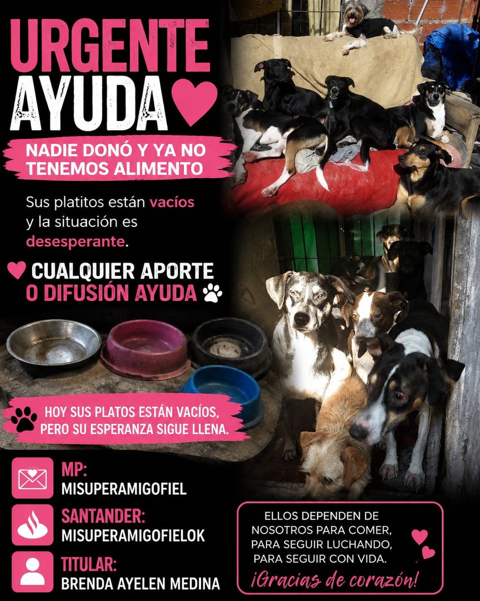 misuperamigo's tweet photo. 🚨 URGENTE AYUDA 🚨

Casi nadie donó y ya no alcanza ni para un kilo de alimento.

Son muchos rescatados. Hoy sus platitos están vacíos y sola no puedo.

🙏 Cualquier ayuda o difusión hace la diferencia.

 MISUPERAMIGOFIEL
 MISUPERAMIGOFIELOK
Brenda Ayelen Medina https://t.co/qGq0ULo0Gl