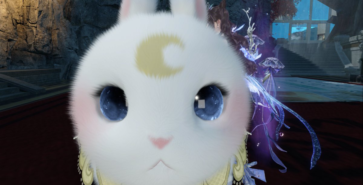 semichan_39's tweet photo. あまりにもかわいいです https://t.co/GTpZHWACnC