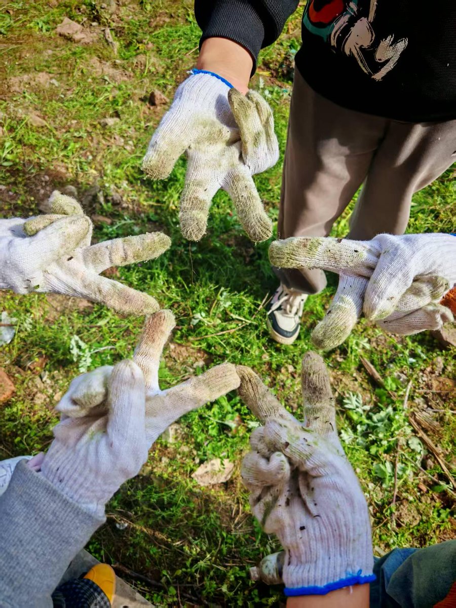 EmmanuelZephany's tweet photo. Join our campus environmental club’s tree-planting event this Saturday morning! Let’s green the campus together, make friends, and get our hands dirty for a good cause. Sign up via the link in bio – spots are limited! https://t.co/jHcupezA9g