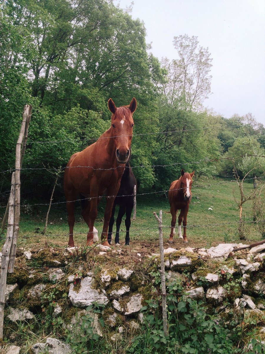 MarcoCardinaliX's tweet photo. Monte pellecchia #iphone #iphone4/
#shotoniphone# https://t.co/fqKhxkyDLW
