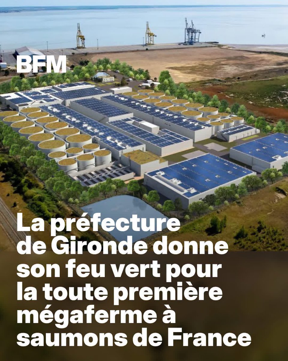 DeVilliers2027's tweet photo. La France des estuaires n’avait pas besoin d’une usine à poissons. Elle avait besoin qu’on la laisse respirer.

Voilà donc que l’on célèbre, en fanfare, la première « mégaf­erme à saumons » de France. Comme si le progrès consistait désormais à enfermer le vivant dans des cuves de béton. Comme si l’avenir de notre alimentation passait par l’industrialisation totale de la nature.

Le saumon n’est plus un poisson : il devient un produit. Une matière première calibrée, élevée hors de son milieu naturel, sous surveillance permanente, dans une logique d’usine. Après les fermes des mille vaches, voici les fermes des cent mille saumons. Toujours plus grand. Toujours plus concentré. Toujours plus artificiel.

Les défenseurs du projet promettent des emplois et une souveraineté alimentaire. Mais à quel prix ? Les scientifiques rappellent que les élevages aquacoles intensifs concentrent les risques sanitaires et nécessitent une vigilance permanente pour préserver la qualité de l’eau et limiter les maladies. Ils consomment également beaucoup d’énergie pour maintenir les conditions d’élevage lorsque les installations fonctionnent en circuit fermé.

Les associations environnementales soulignent aussi que ces projets génèrent des rejets riches en azote et en phosphore qui doivent être traités avec une grande rigueur afin d’éviter les impacts sur les milieux aquatiques. Elles mettent également en avant la consommation importante de ressources pour produire les aliments destinés aux poissons, même si cette part tend à évoluer avec l’utilisation de nouvelles matières premières.

Ce qui inquiète, au fond, ce n’est pas seulement cette usine. C’est le modèle qu’elle incarne : celui où l’on remplace les pêcheurs par des ingénieurs de process, les estuaires par des hangars, les cycles naturels par des algorithmes.

Une nation qui cesse de respecter ses paysages finit toujours par oublier son âme. La France n’est pas un laboratoire à ciel ouvert où chaque hectare disponible doit devenir un site industriel. Notre patrimoine naturel vaut davantage qu’un bilan comptable ou qu’un communiqué de presse triomphant.

Le véritable progrès n’est pas de produire toujours plus, mais de produire mieux, en respectant les équilibres écologiques, les territoires et ceux qui y vivent. Car lorsqu’une civilisation en vient à croire que le béton peut remplacer la rivière, elle est déjà en train d’oublier ce qui faisait sa grandeur.
