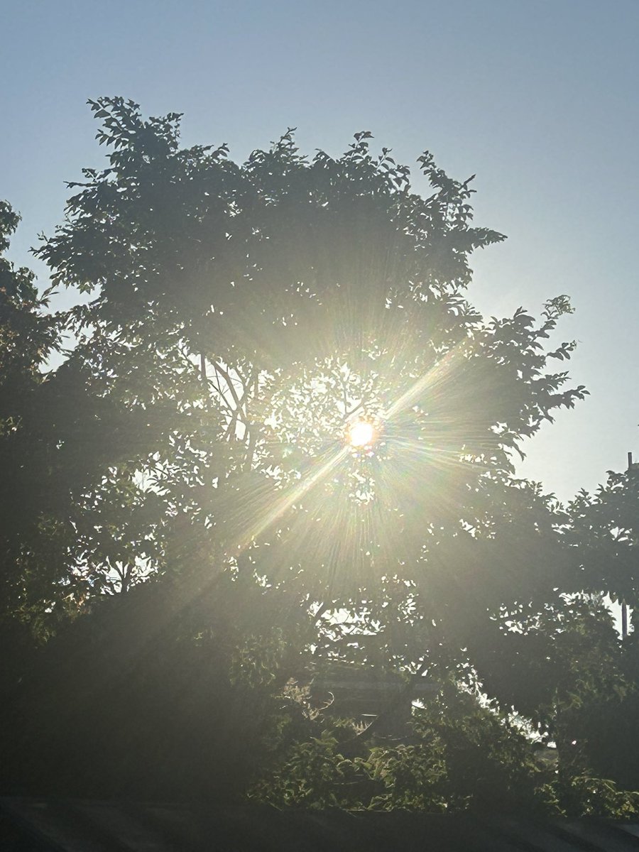enzKnuqymW25102's tweet photo. https://t.co/4g26Zqxn2t 爽やかな朝日を浴びて、Riefit✨
今日も気持ちよく1日が始まります🌿
皆様、暑い日が続きますが穏やかで素敵な1日をお過ごしください
#Riefit https://t.co/QIpqq3wPIL