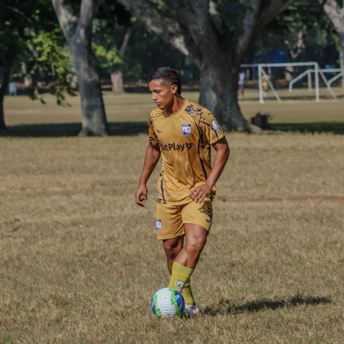 AtleticoFCSA's tweet photo. #AtléticoFCDeCali☀️
⚽💙💛 Trabajo táctico, buen trato de balón e intensidad en cada ejercicio. Seguimos fortaleciendo nuestra idea de juego con compromiso y concentración en cada sesión.
#ModoEntrenamiento #AtléticoFC #TorneoBetPlay #VamosAtléticoFC https://t.co/SnDrf0qM1f